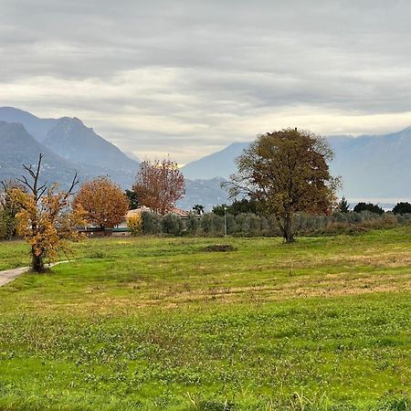 La Finestra Sul Garda Dreaming Holidays San Felice del Benaco Eksteriør billede