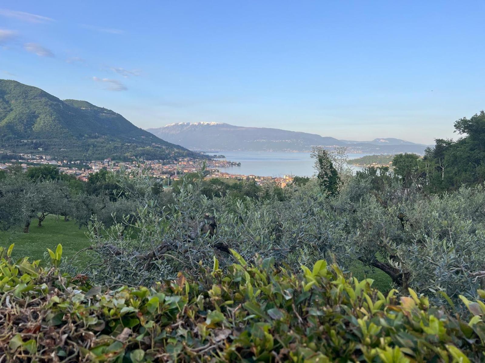 La Finestra Sul Garda Dreaming Holidays San Felice del Benaco Eksteriør billede
