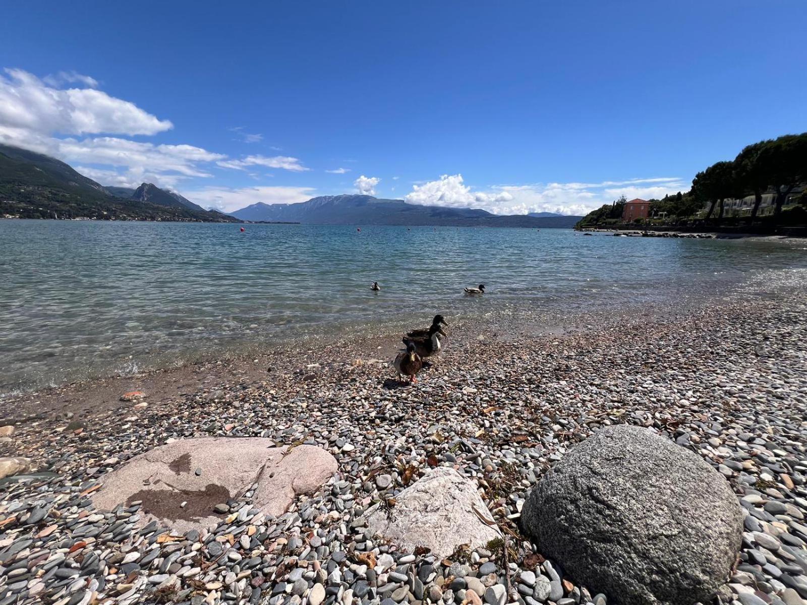 La Finestra Sul Garda Dreaming Holidays San Felice del Benaco Eksteriør billede