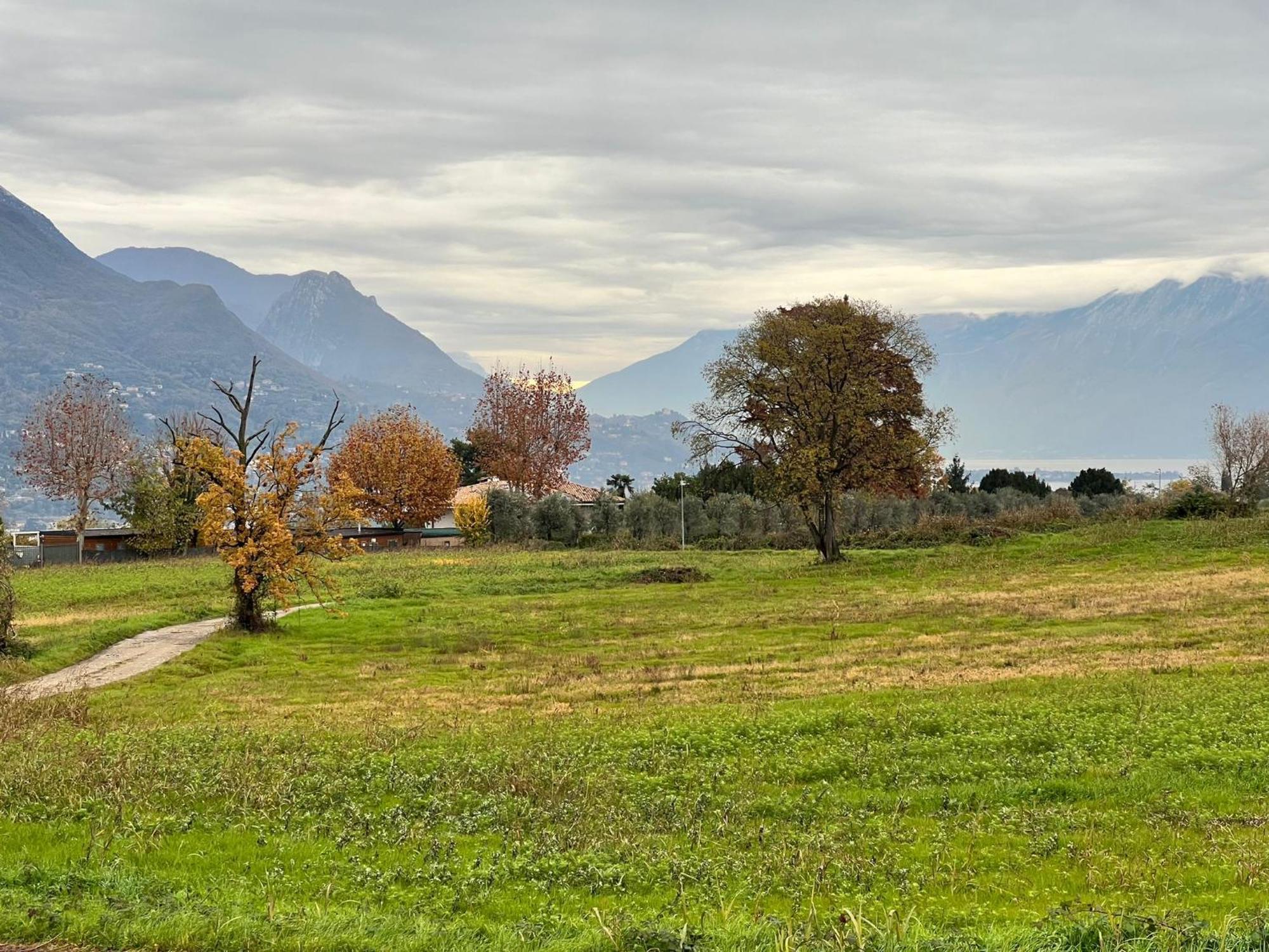La Finestra Sul Garda Dreaming Holidays San Felice del Benaco Eksteriør billede