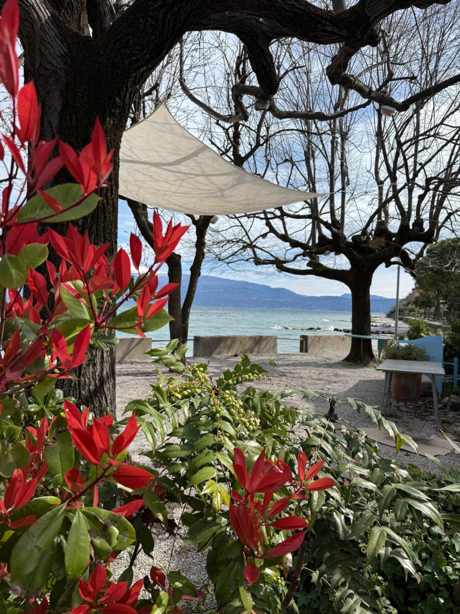 La Finestra Sul Garda Dreaming Holidays San Felice del Benaco Eksteriør billede